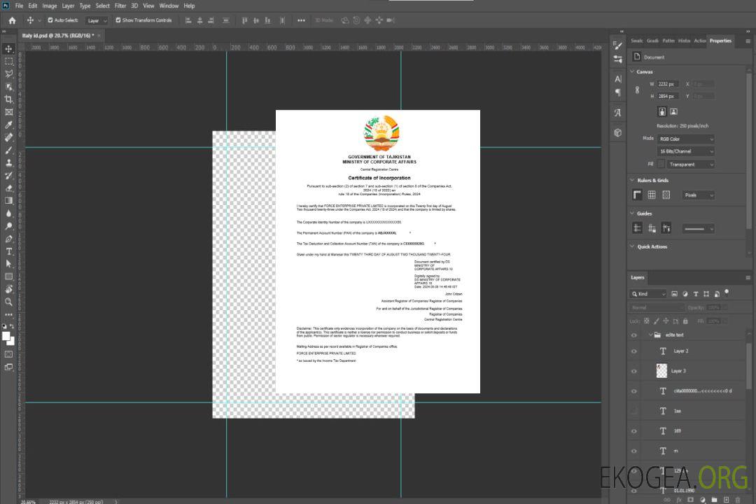 Modèle Word et PDF de certificat d'enregistrement d'entreprise au Tadjikistan (1) template